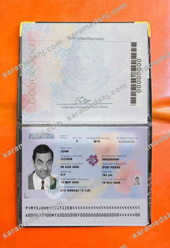 Malaysia passport (2017-present) photo look